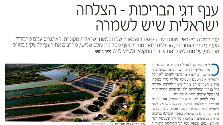 ענף דגי הבריכות